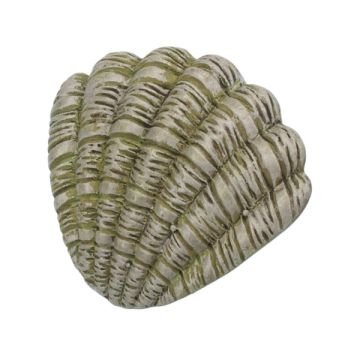 Barnknopp 'Kid Line' Mussla